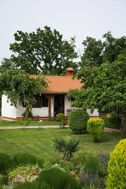 Holiday Home Sergo Poreč Exterior foto